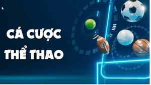 Giới thiệu sảnh chơi thể thao Nohu